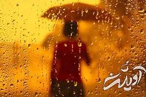 ۲۰ واقعیت جالب، بامزه و باورنکردنی برای ذهن های کنجکاو که آموزنده نیز هستند